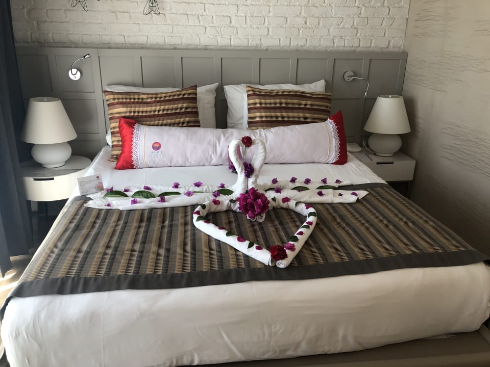 Zimmer Acanthus Cennet Barut Collection