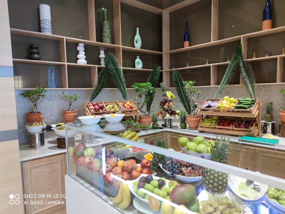 Gastro Acanthus Cennet Barut Collection