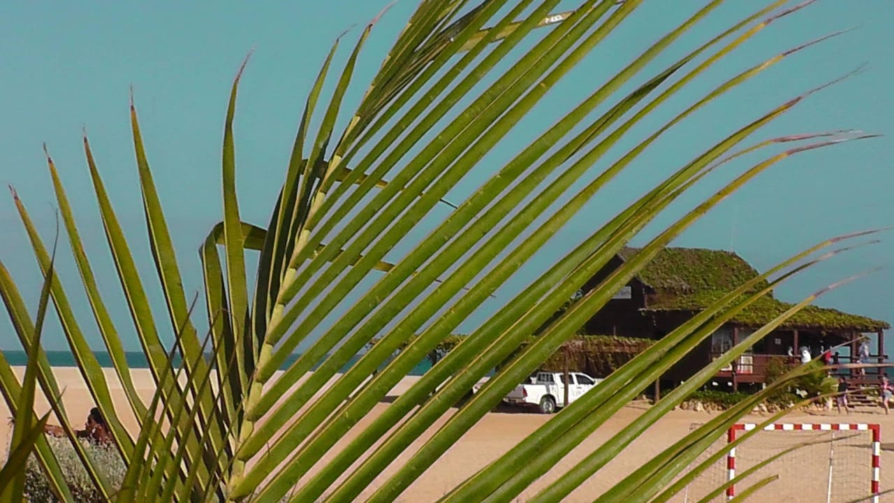 Einfach traumhaft Hotel Riu Touareg