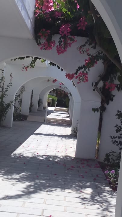 Gartenanlage TUI KIDS CLUB Alex Beach