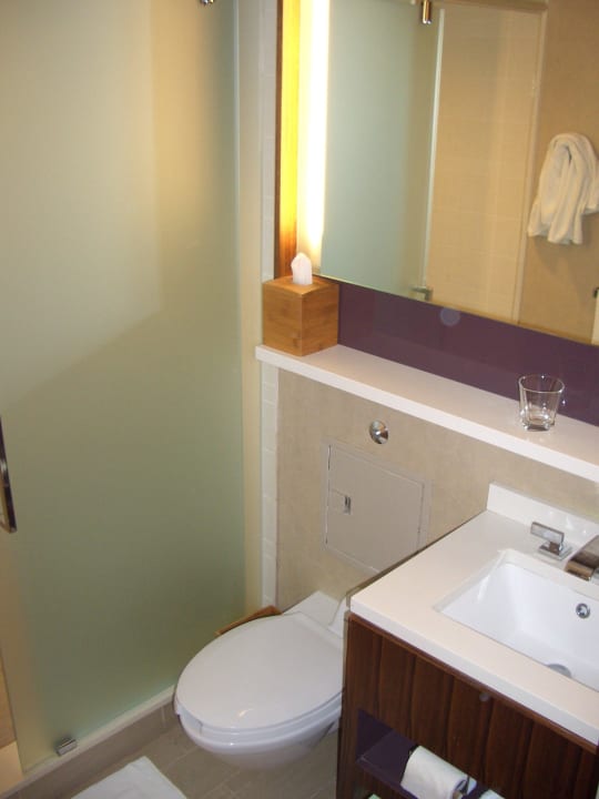 Bad mit Dusche und WC Hotel Grand Hyatt New York