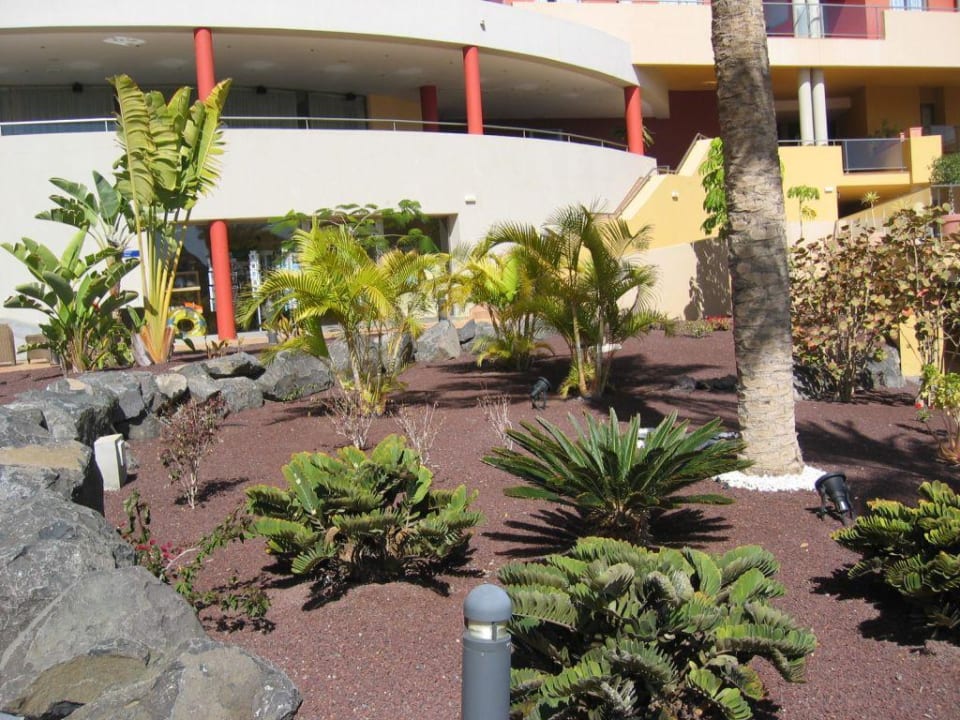 Gartenanlage Iberostar Waves Gaviotas Park