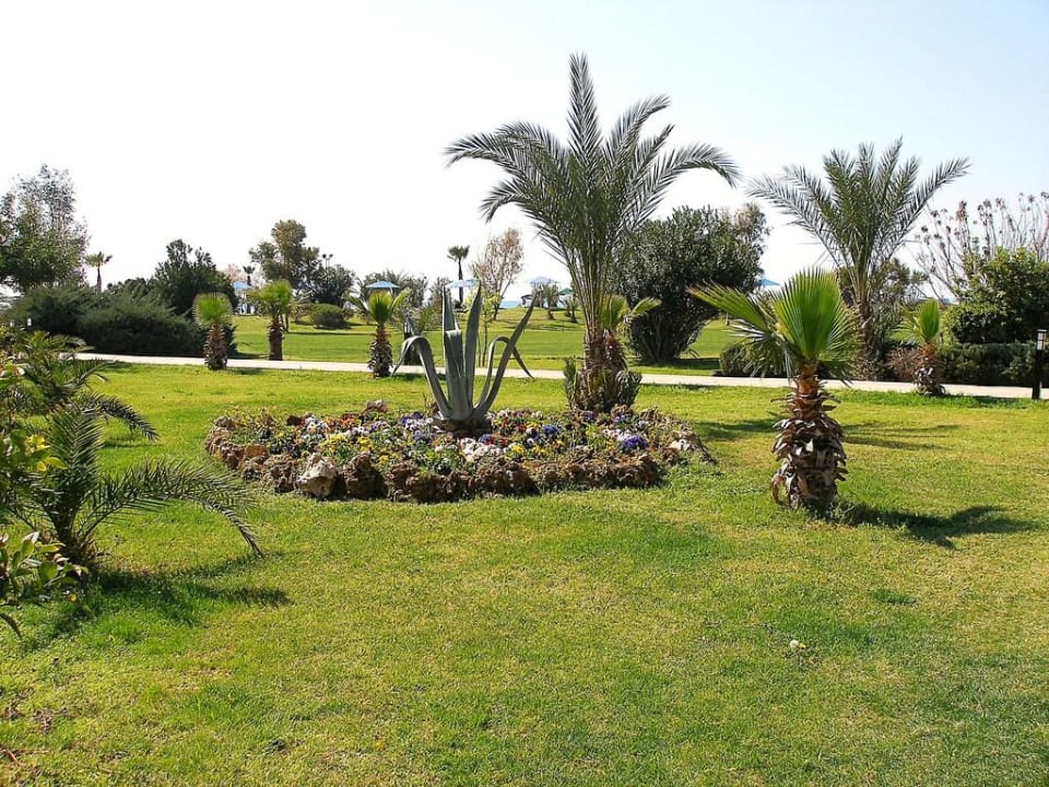 Blumenbeet Kaya Belek Hotel