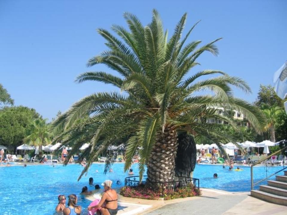 Pool Botanik Hotel & Resort