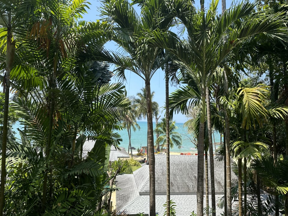 Ausblick Moracea by Khao Lak Resort