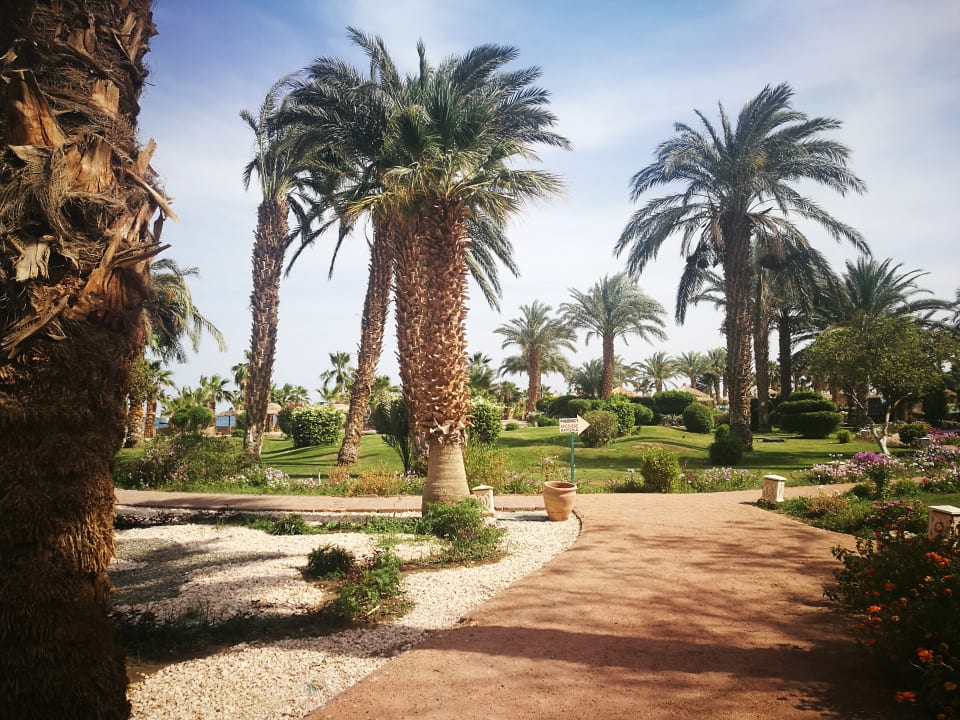 Gartenanlage Lotus Bay Beach Resort