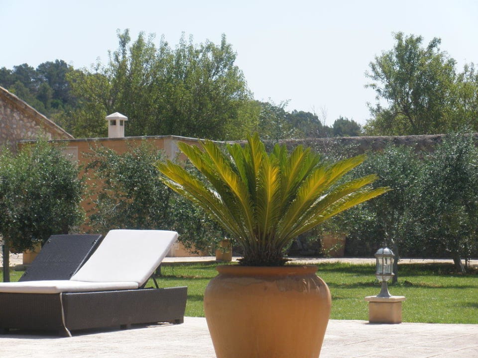 Garten Agroturismo S'Hort de Son Caulelles - Adults only