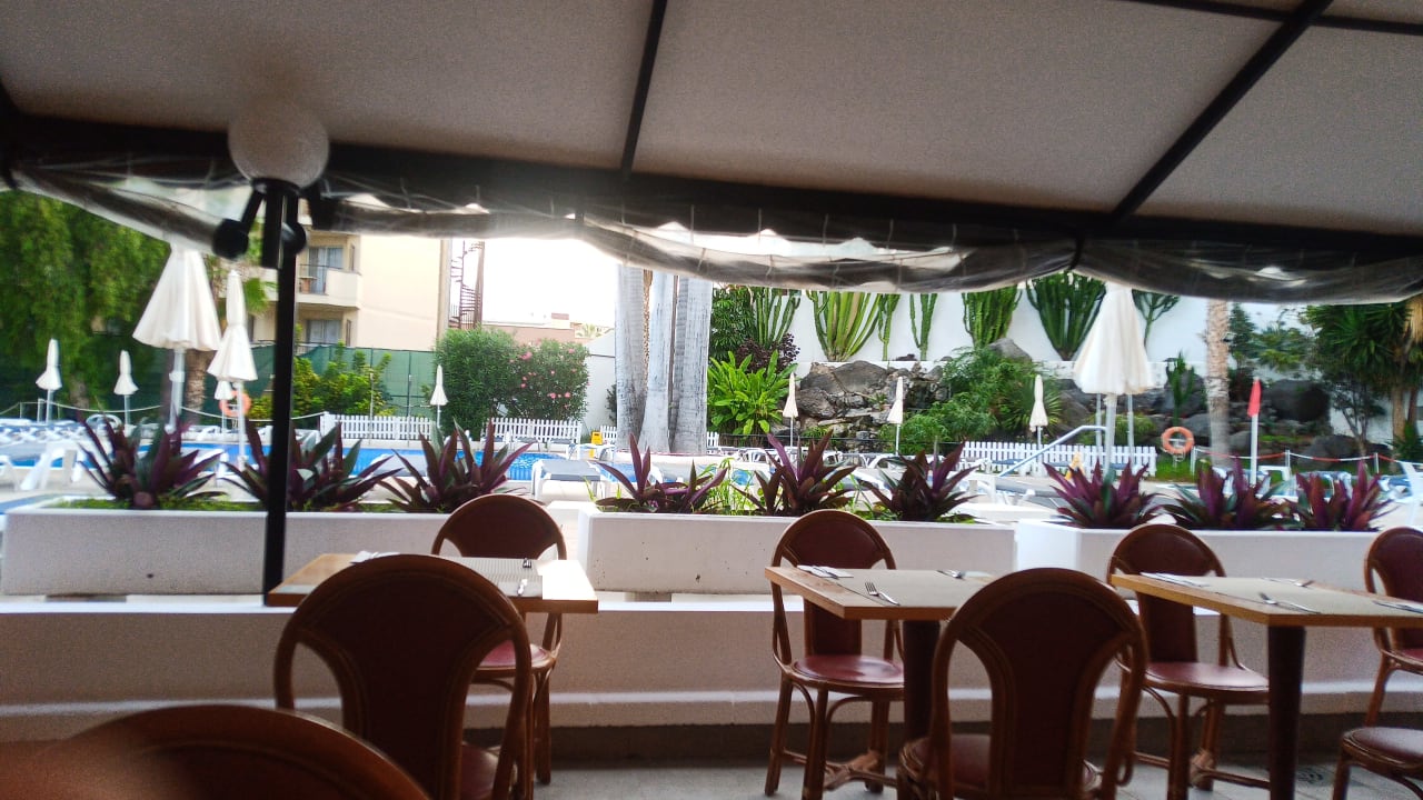 Gastro Be Live Tenerife - Adults only