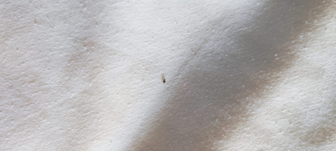 Zimmer Hotel Yavor Palace