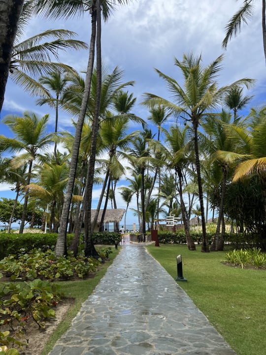 Gartenanlage Hotel Grand Palladium Palace Resort, Spa & Casino