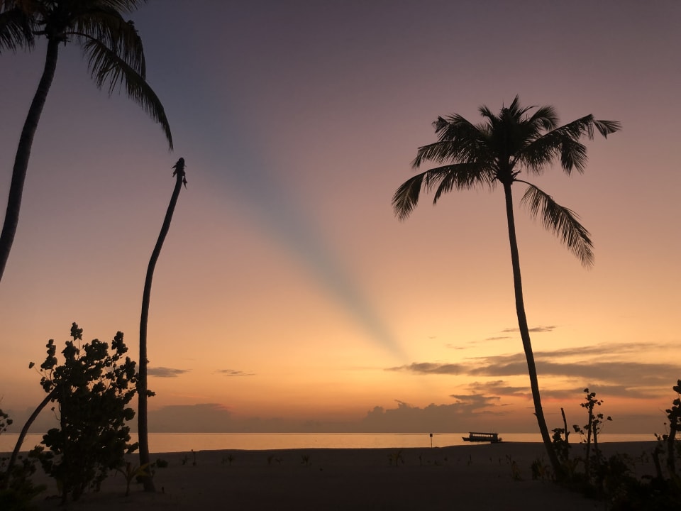 Ausblick Cinnamon Velifushi Maldives - Free One-Way Speedboat and 02 Kids Under 12 Stay & Dine Free