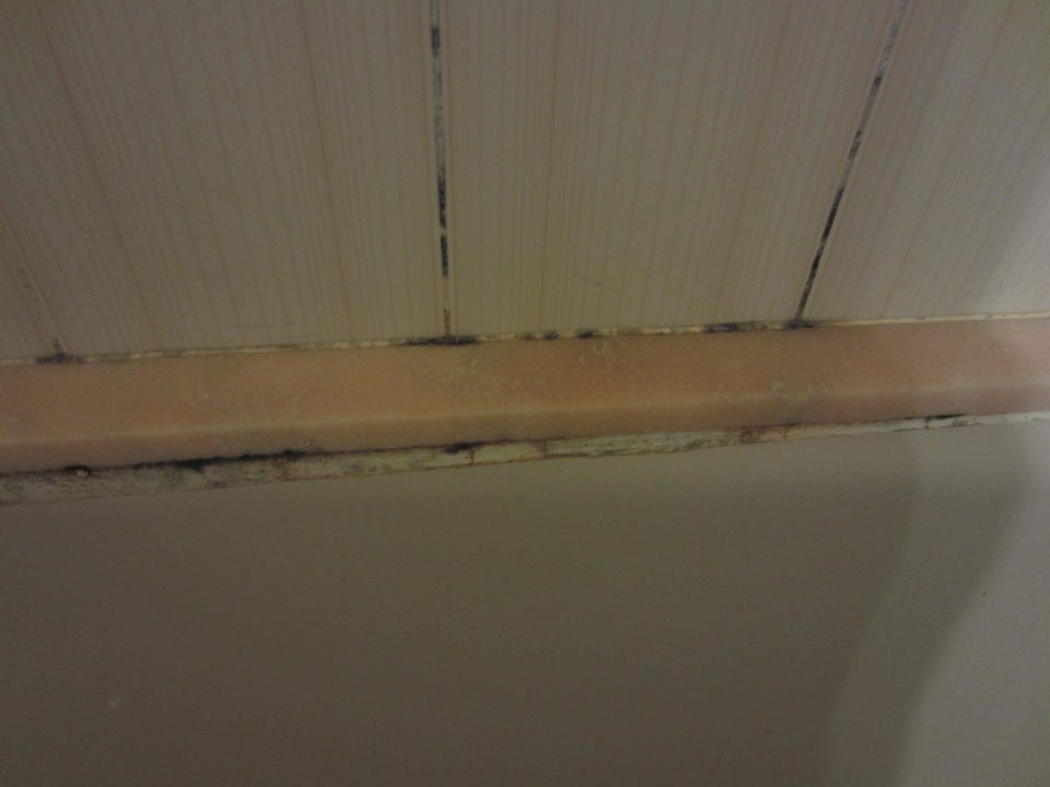 Schimmel im Bad Bei Juan Playa Blanca