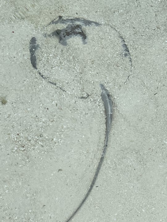 Strand Sun Siyam Vilu Reef