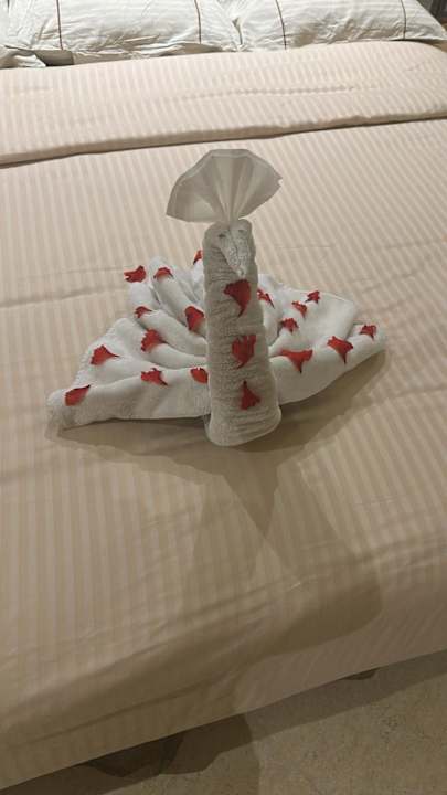 Zimmer The Grand Palace - Adults only