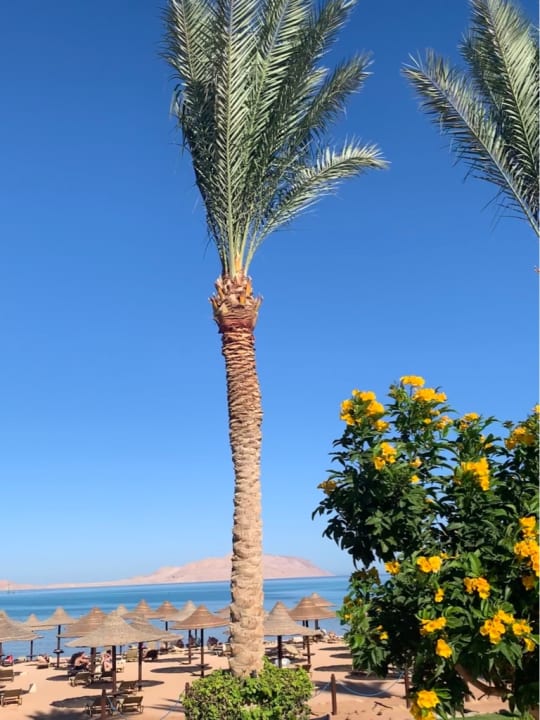 Strand JAZ Belvedere Resort