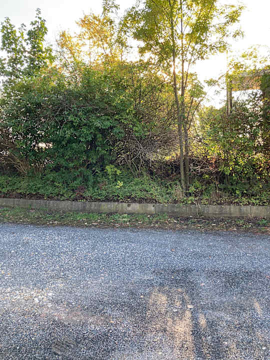 Außenansicht Best Western Plaza Hotel Zwickau