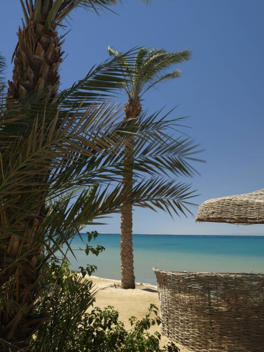 Idylle Palm Royale Resort - Soma Bay