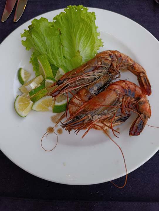 Strand Seashell Vega