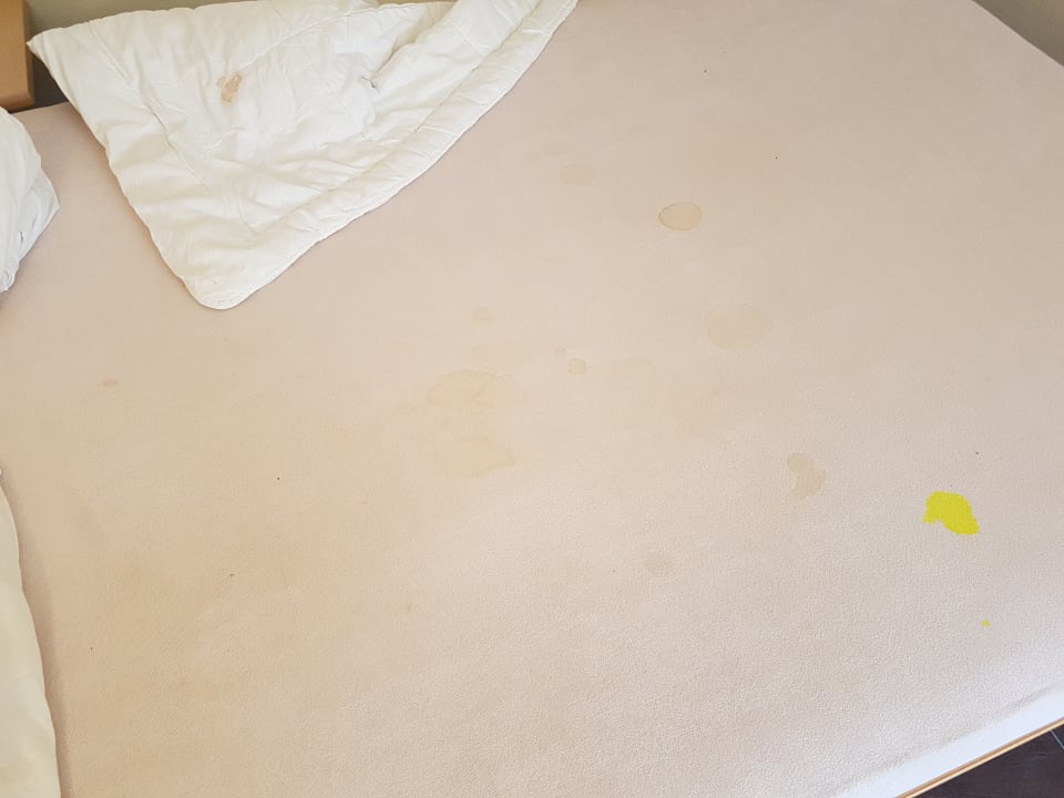 Zimmer ibis Styles Strasbourg Centre République