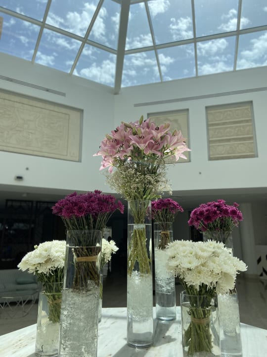 Sonstiges Hilton Hurghada Plaza