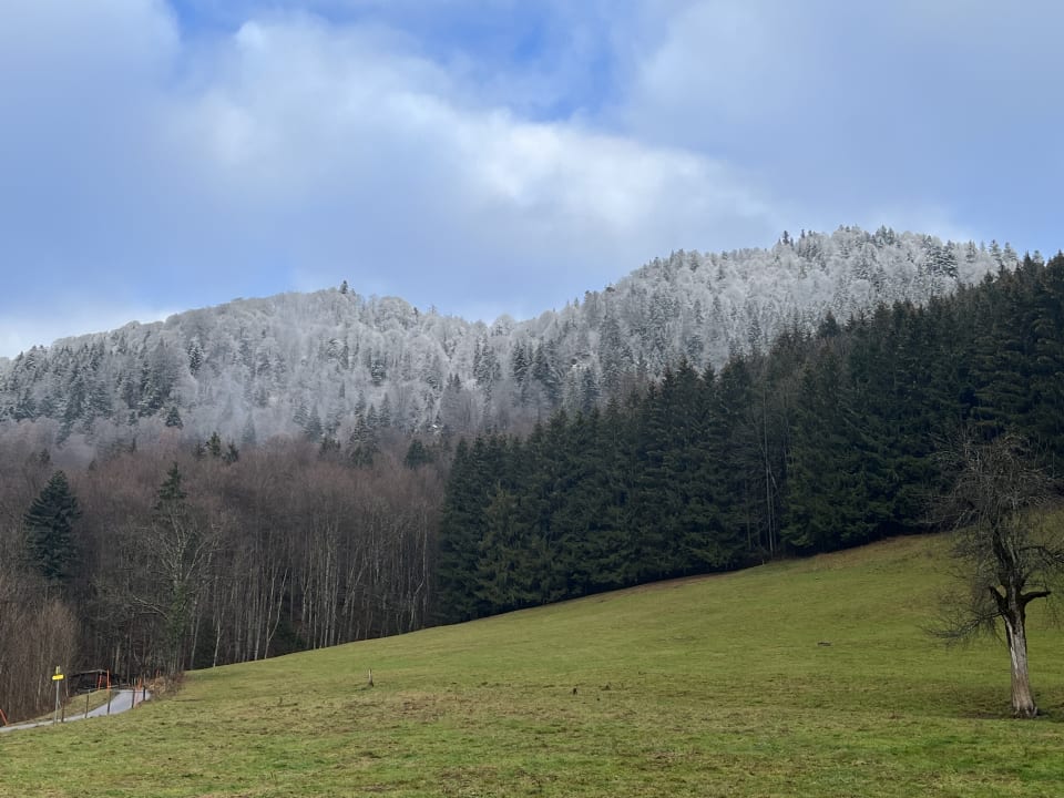 Ausblick Hotel Butzn Wirt