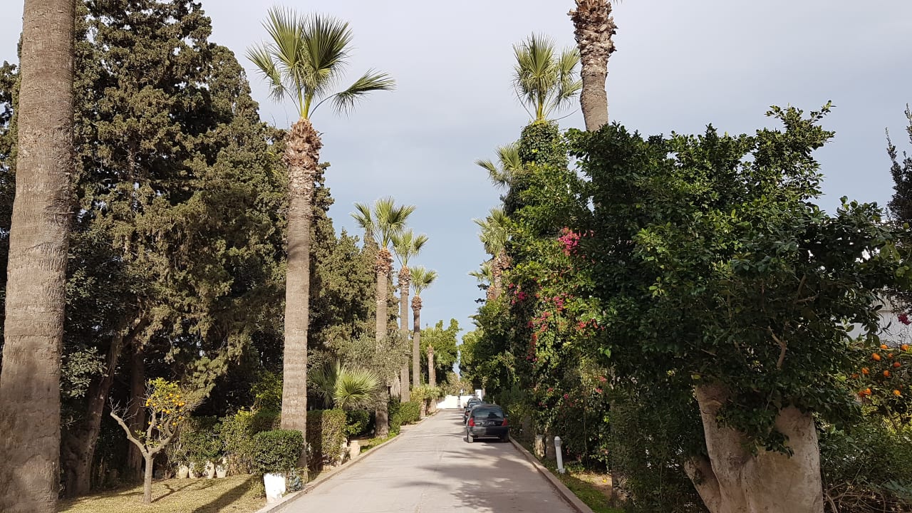 Sonstiges The Orangers Beach Resort and Bungalows