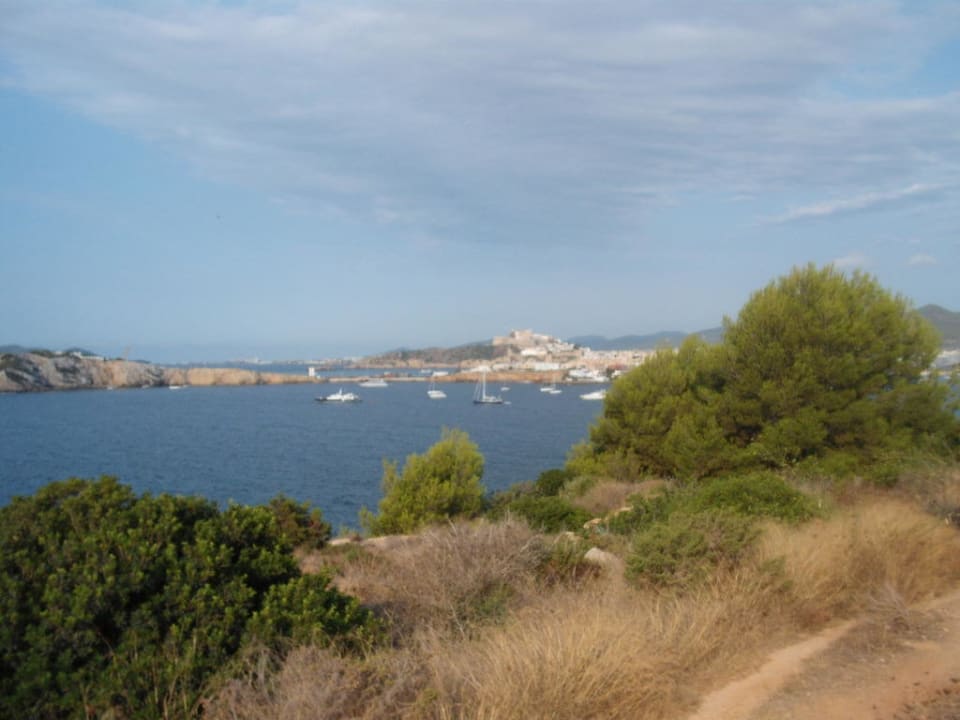 Ausblick Destino Pacha Ibiza Resort - Adults only