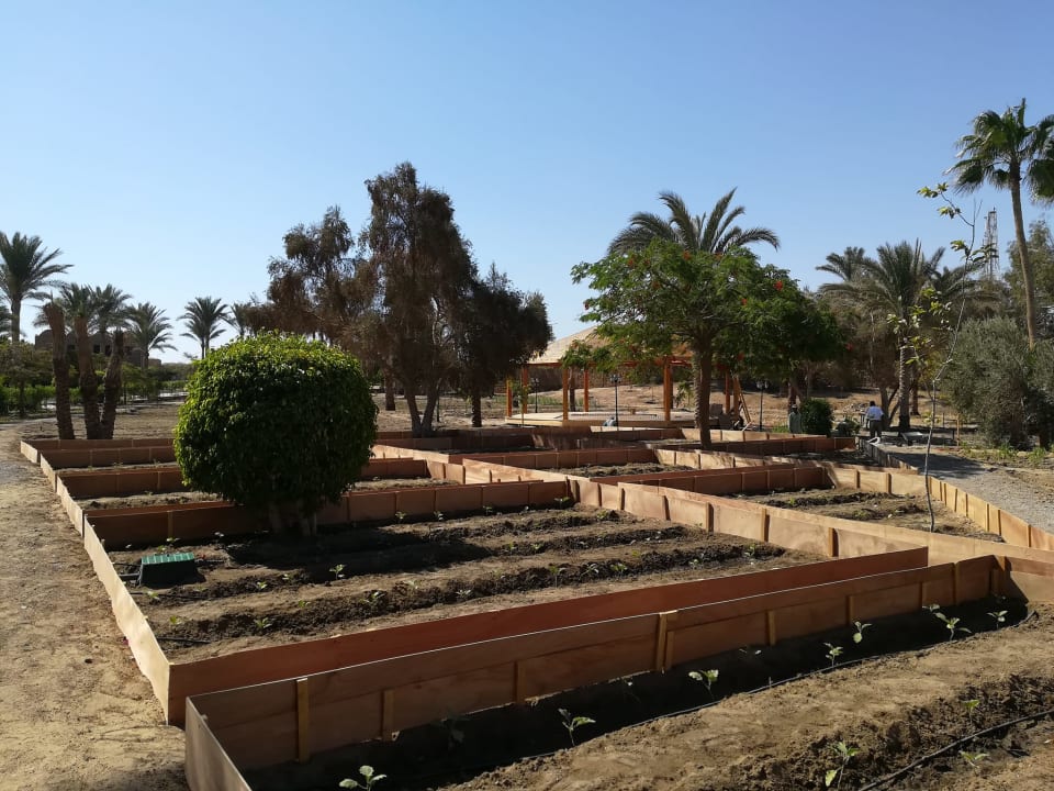 Gartenanlage Mövenpick Resort El Quseir
