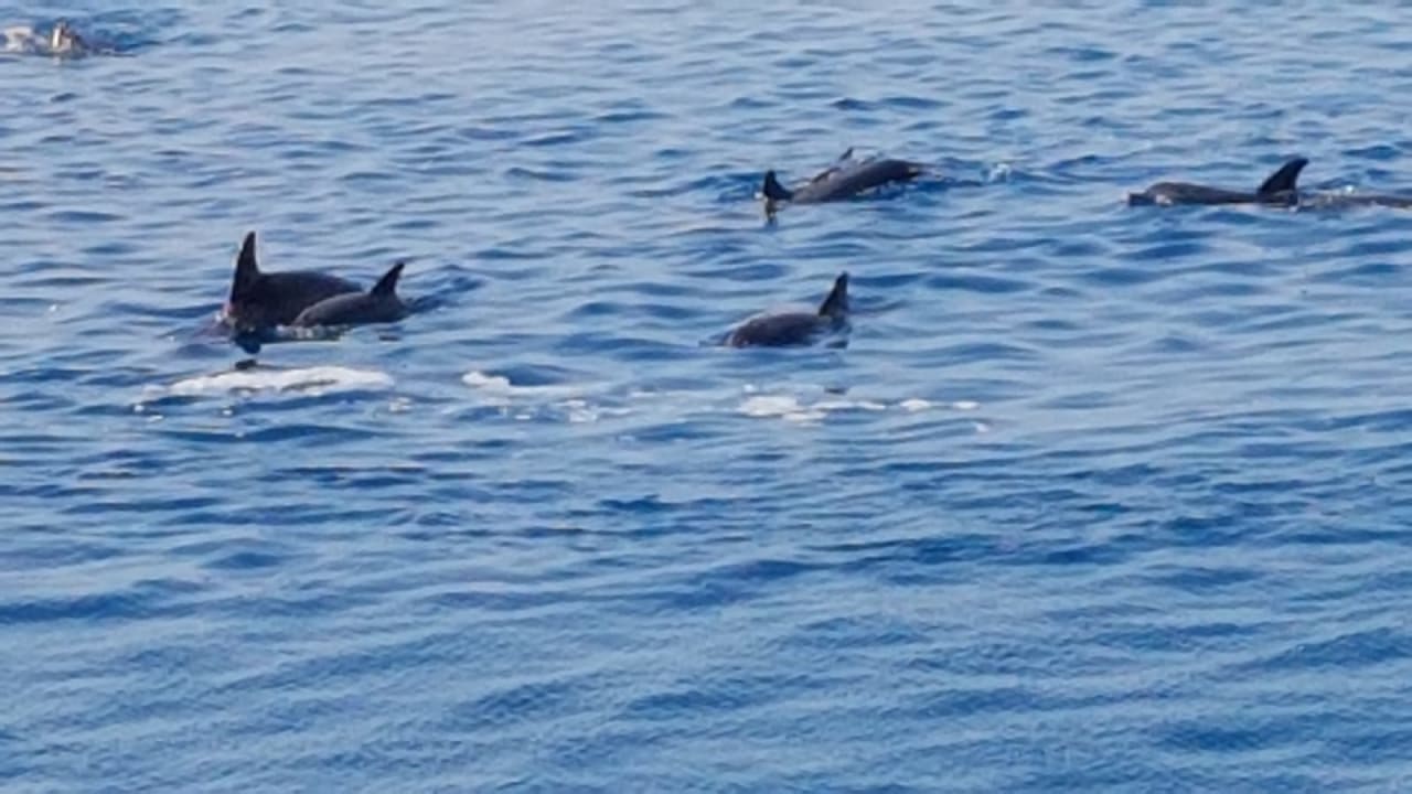 Strand Baron Palace Sahl Hasheesh