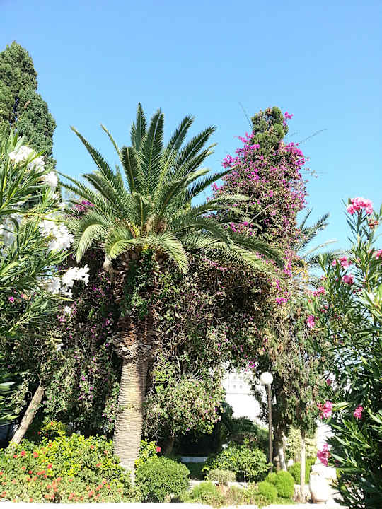 Jeder Blick eine Pracht The Orangers Beach Resort and Bungalows