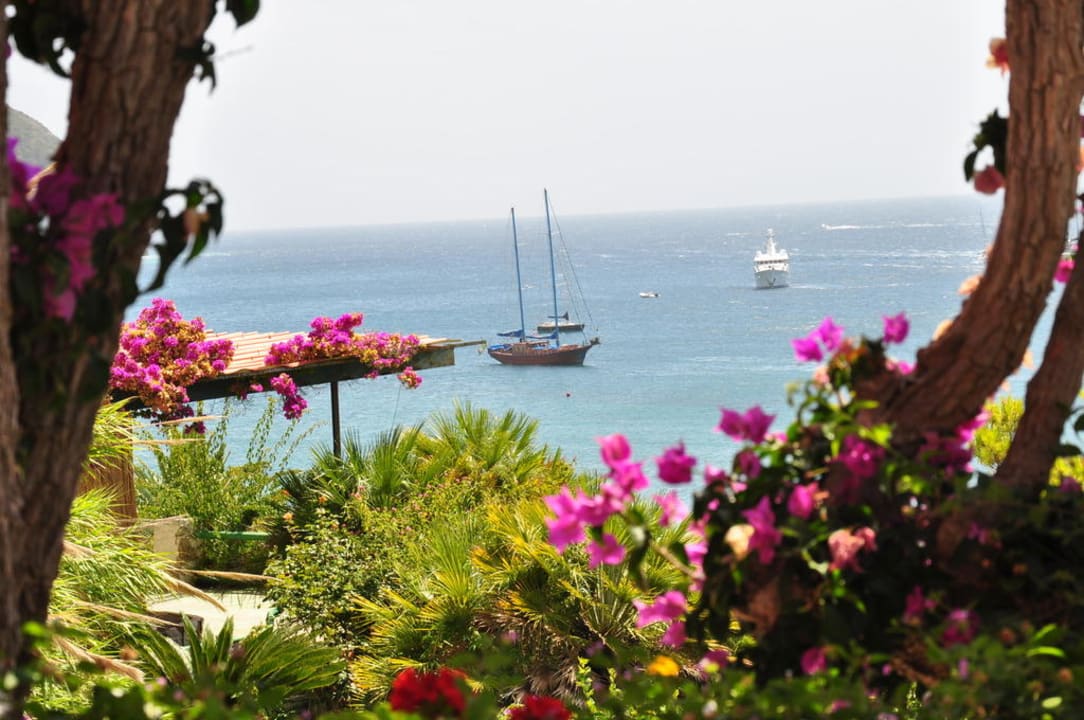 Blick von der Meerterrasse Hotel Casa Rosa Terme