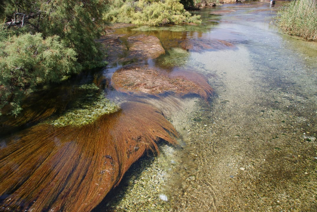 Hier fließt der kalte Fluß aus den Bergen in das wärmere Mee Corissia Beach Hotel