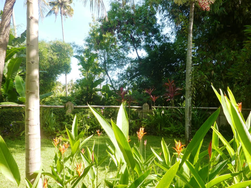 Ausblick Saraswati Holiday House