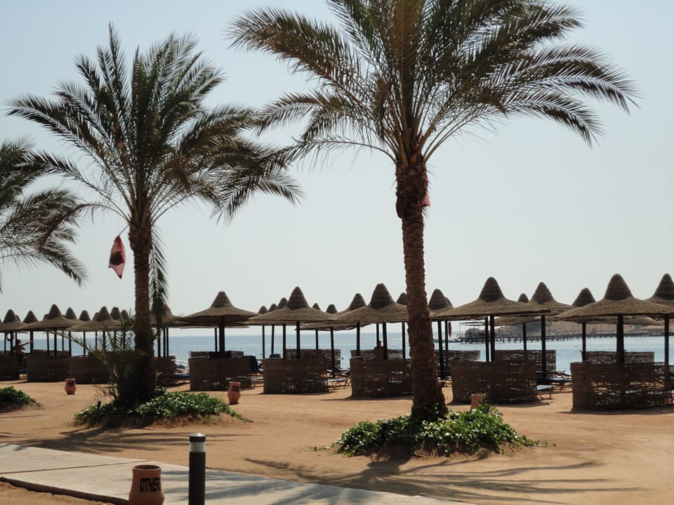 Wunderschöner Sandstrand Steigenberger Coraya Beach - Adults only