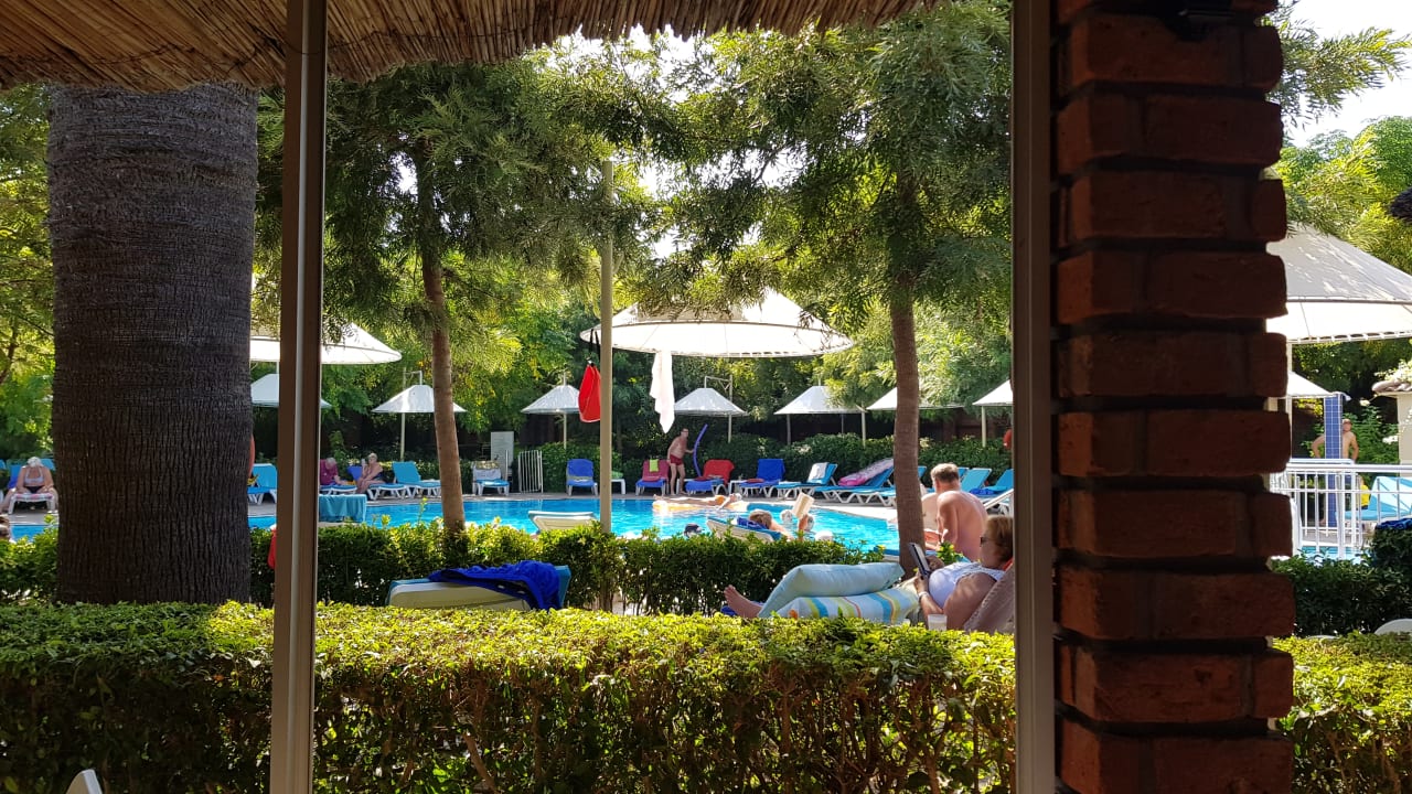 Pool Can Garden Beach