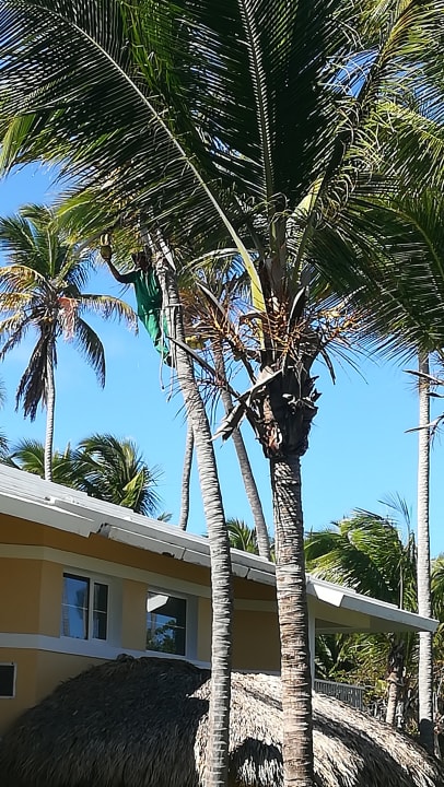 Sonstiges Grand Palladium Select Bávaro Resort & Spa