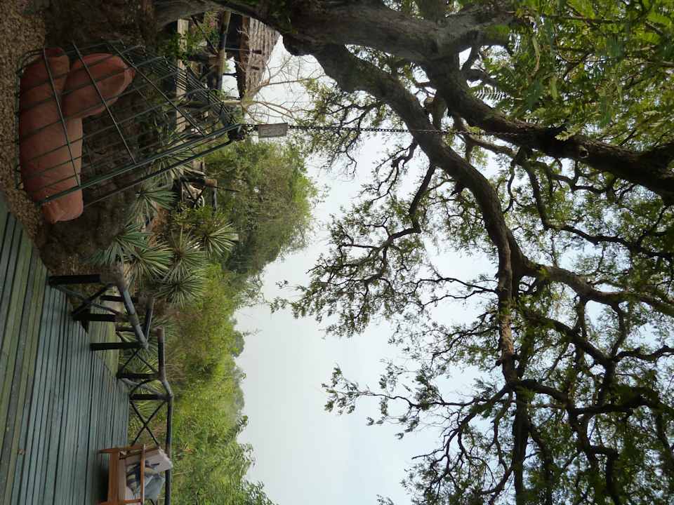 Schaukelsitz mit Nilblick Nile Safari Lodge