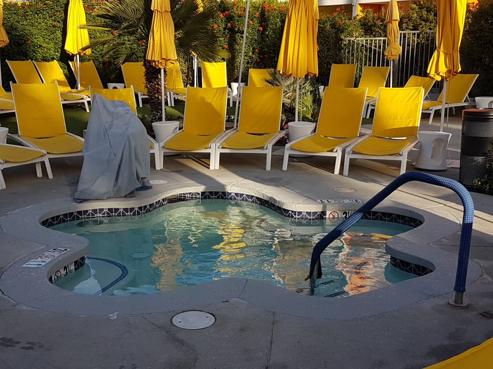 Sport & Freizeit Joie de Vivre Hotel The Saguaro Palm Springs