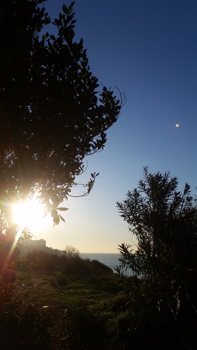 Ausblick The Marmara Antalya Hotel