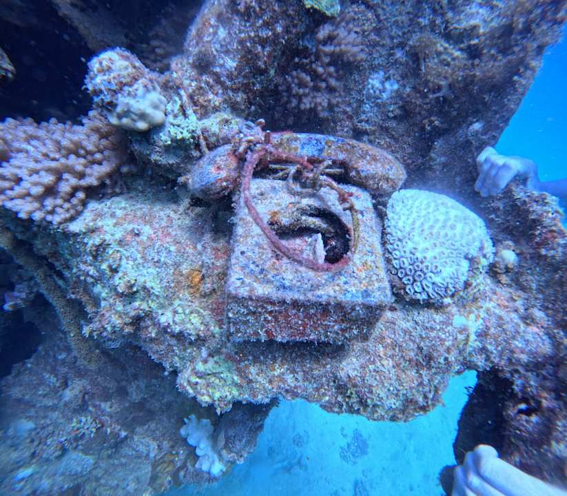 Sonstiges Sentido Reef Oasis Suakin