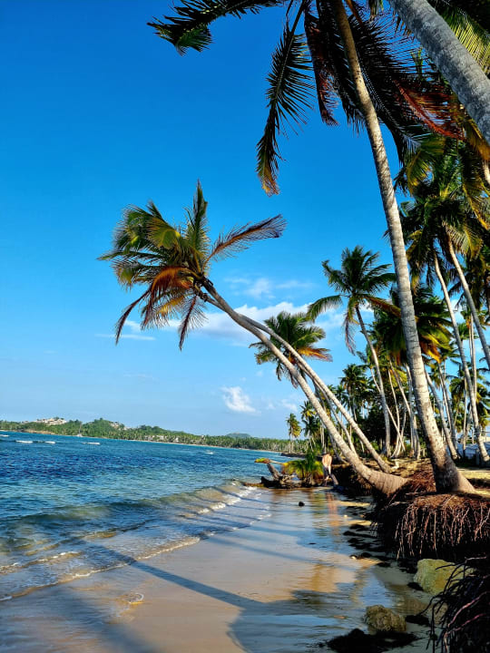 Strand Viva V Samana by Wyndham – Adults Only