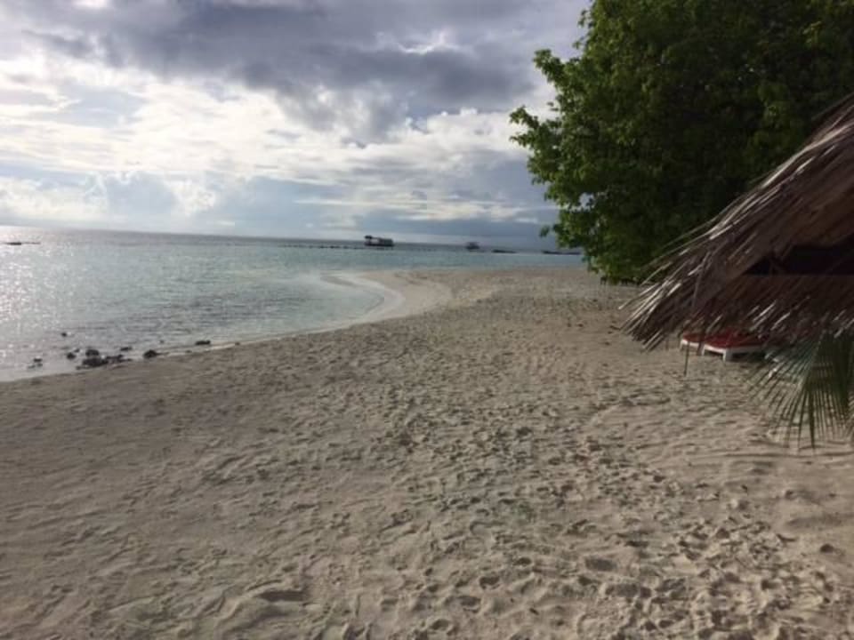 Beach Summer Island Maldives
