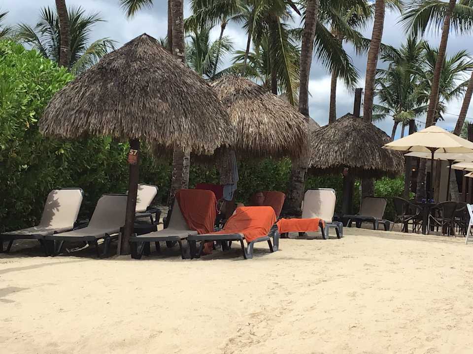 Strand Dreams Dominicus La Romana