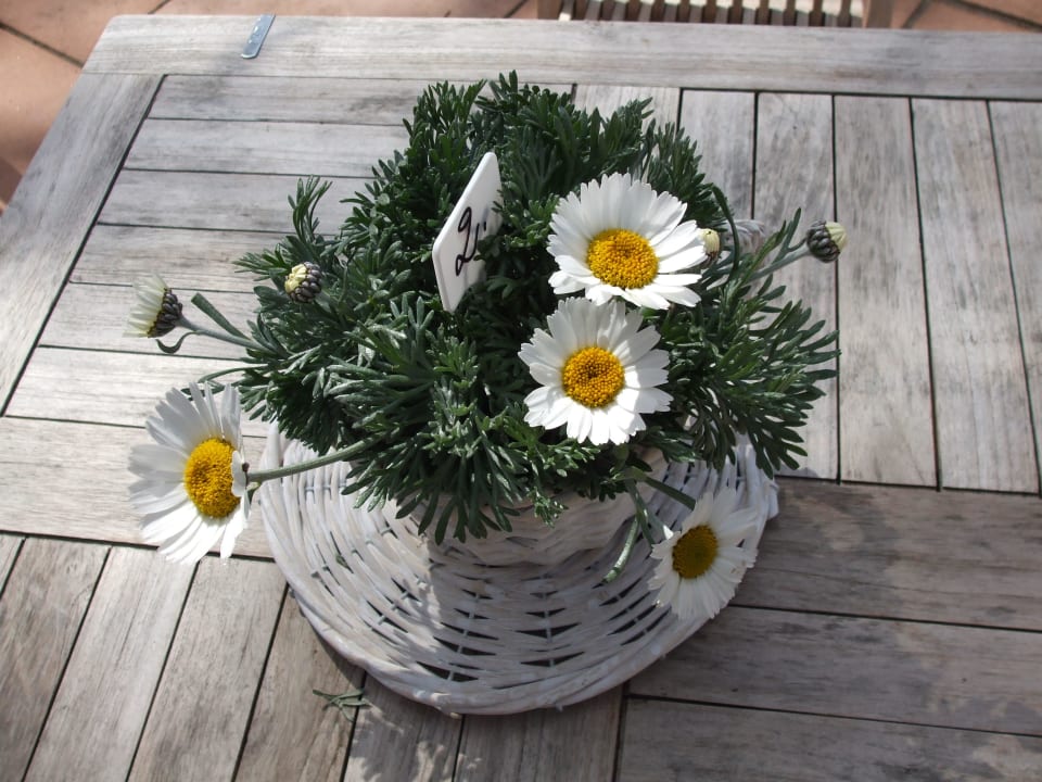 Frühlingsdeko Hotel Lauterbach