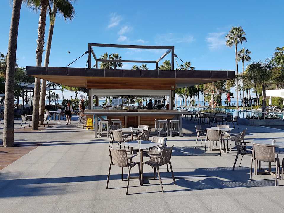 Gastro Acanthus Cennet Barut Collection