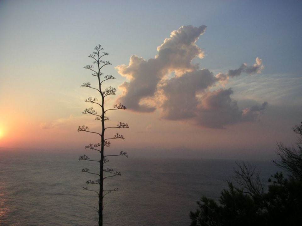 Sonnenuntergang Sun Club Eldorado