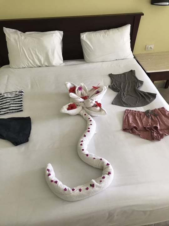 Zimmer Casa Mare Resort