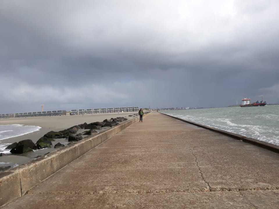 Außenansicht Beach Villa's Hoek van Holland