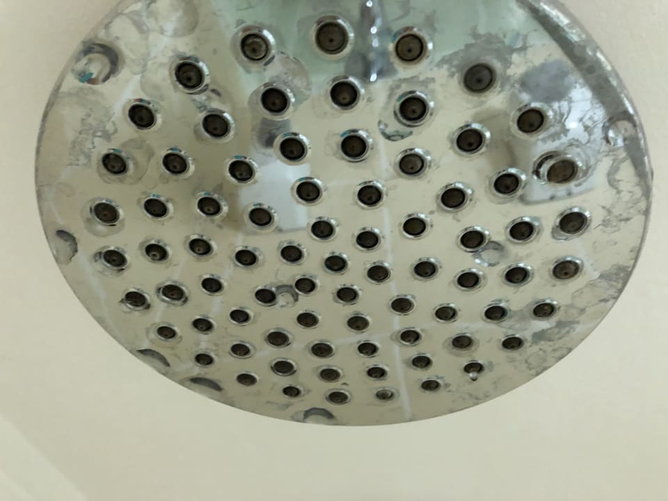 Zimmer Hotel Orfeus Park