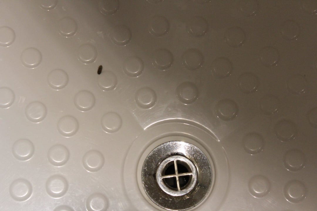 Ungebetener Gast in der Dusche Grande Baia Resort & Spa